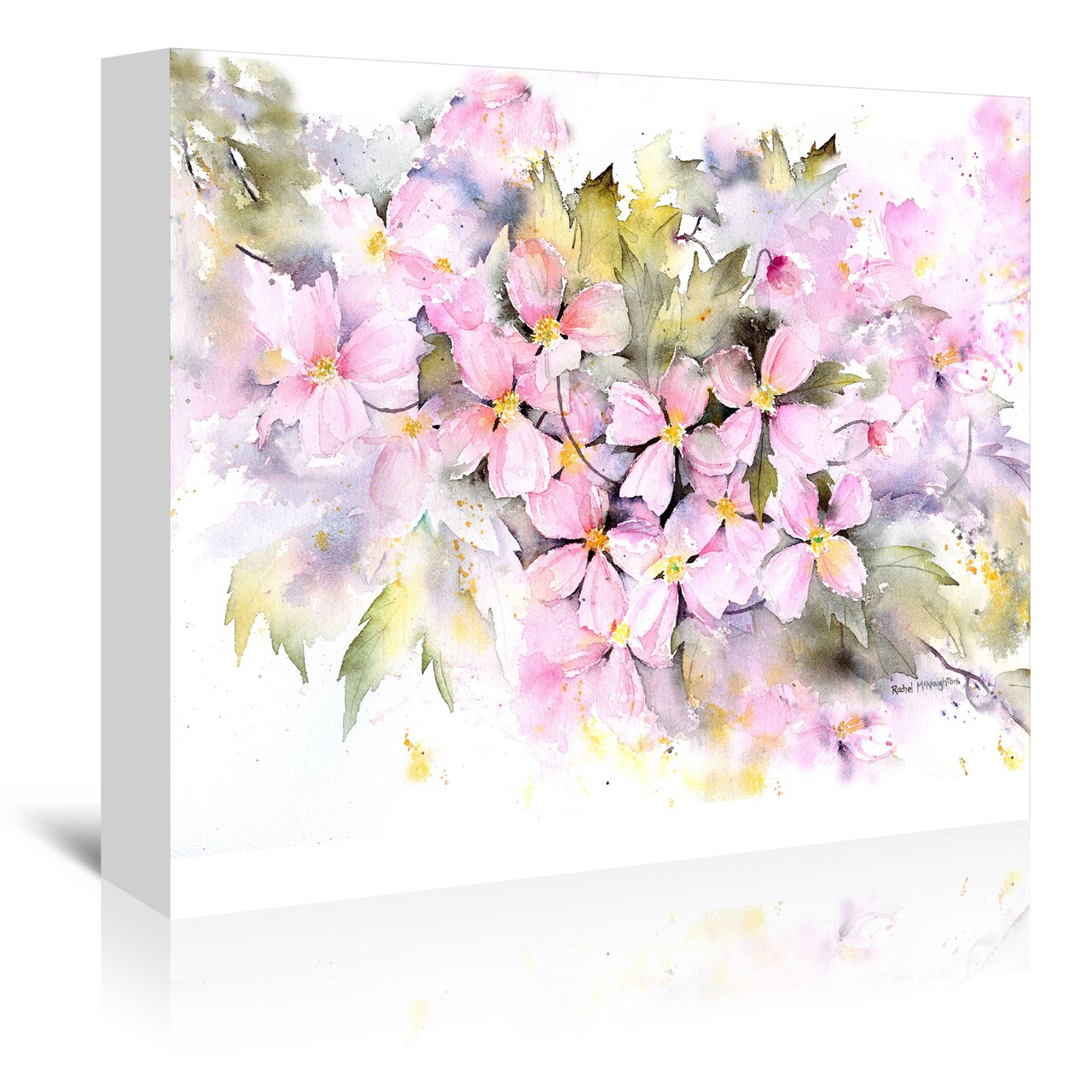 Clematis Montana by Rachel McNaughton  Gallery Wrapped Canvas - Americanflat